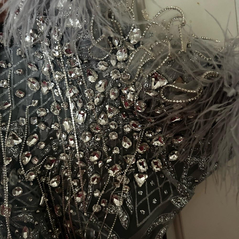 Silver Embellished Feathered Dress with veil